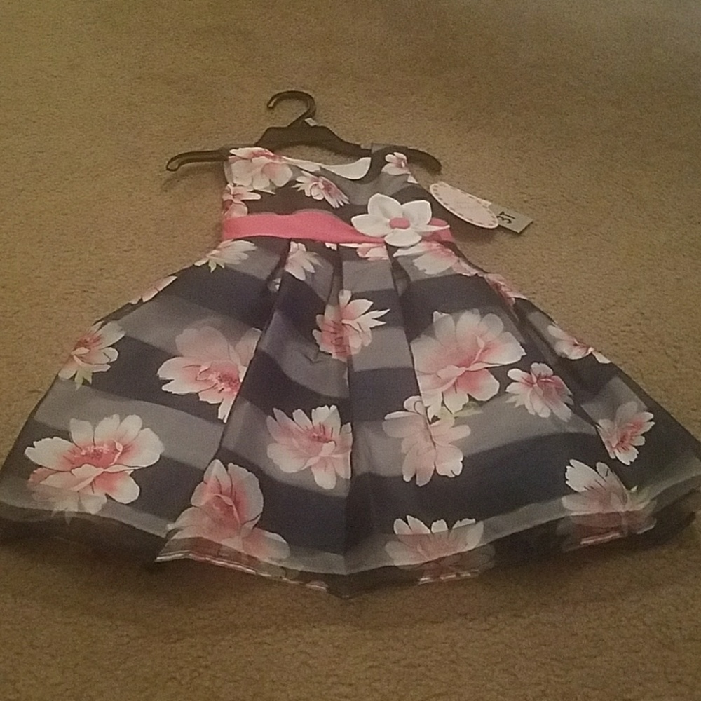 Blue and Pink Floral Dress